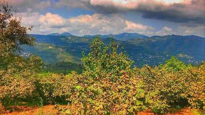 Kumru Küçükakçakese Köyü Resimleri 2