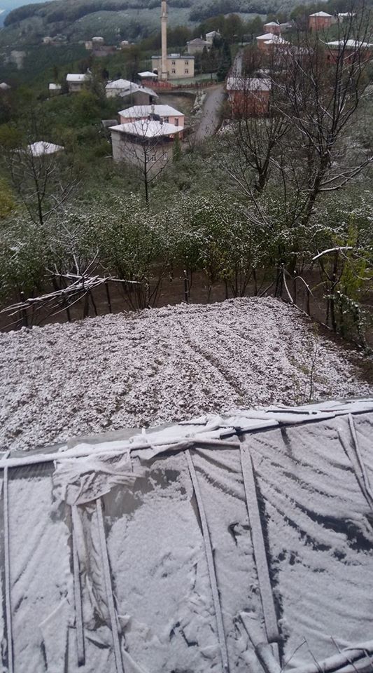 Kumru Küçükakçakese Köyü Resimleri 6