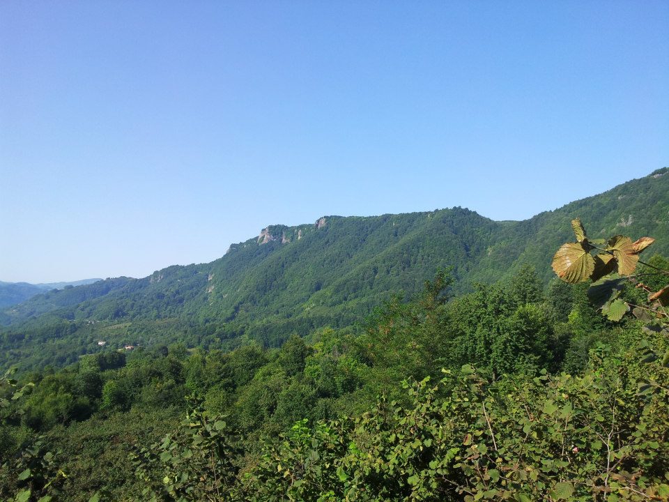 Kumru Ortaca Köyü Resimleri 3