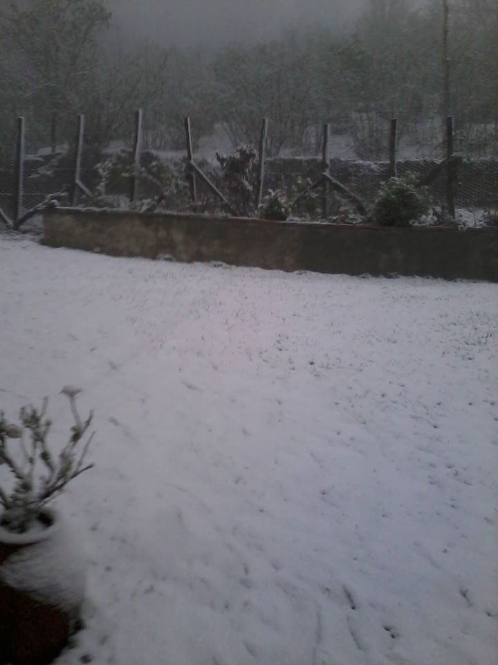 Kumru Ortaçokdeğirmen Köyü Resimleri 1