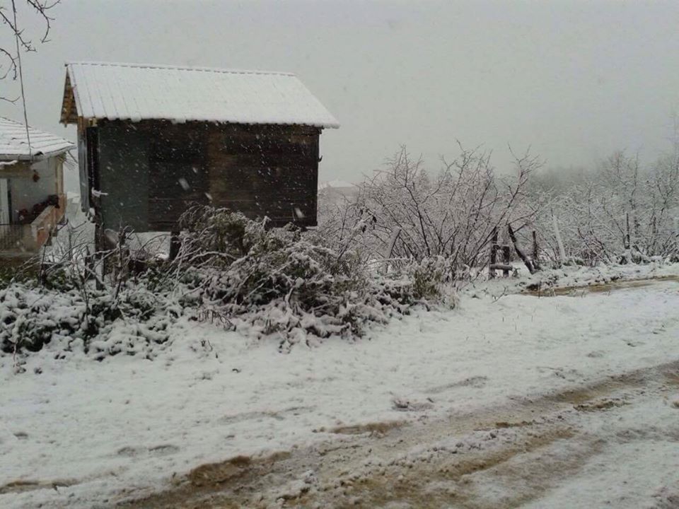 Kumru Ortaçokdeğirmen Köyü Resimleri 3