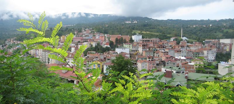 Kumru Samur Köyü Resimleri 1