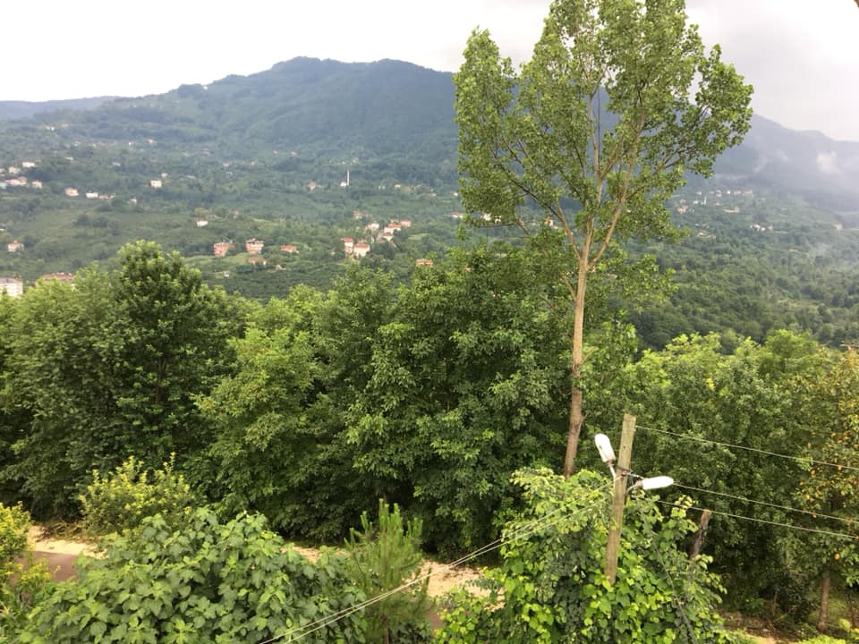 Kumru Samur Köyü Resimleri 2