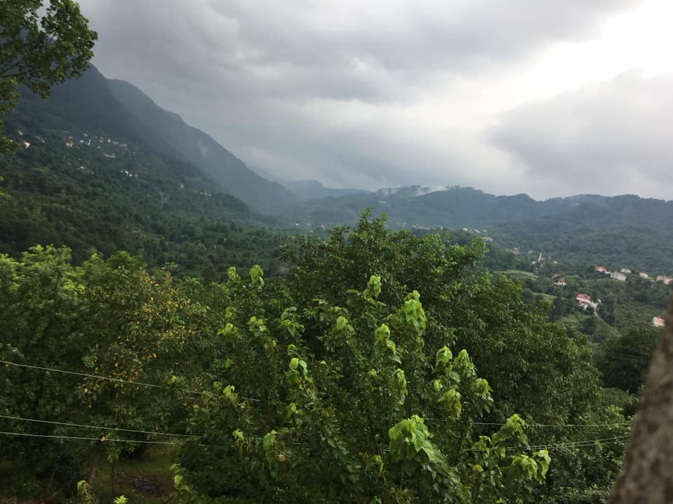 Kumru Samur Köyü Resimleri 3