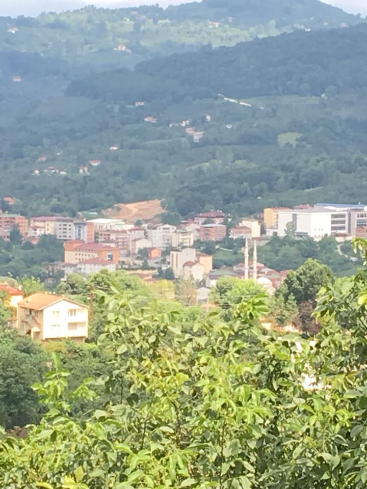 Kumru Samur Köyü Resimleri 4