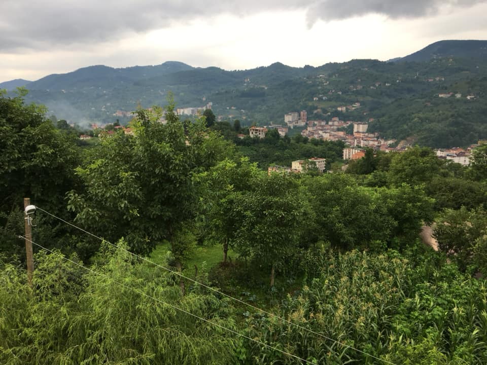 Kumru Samur Köyü Resimleri 5