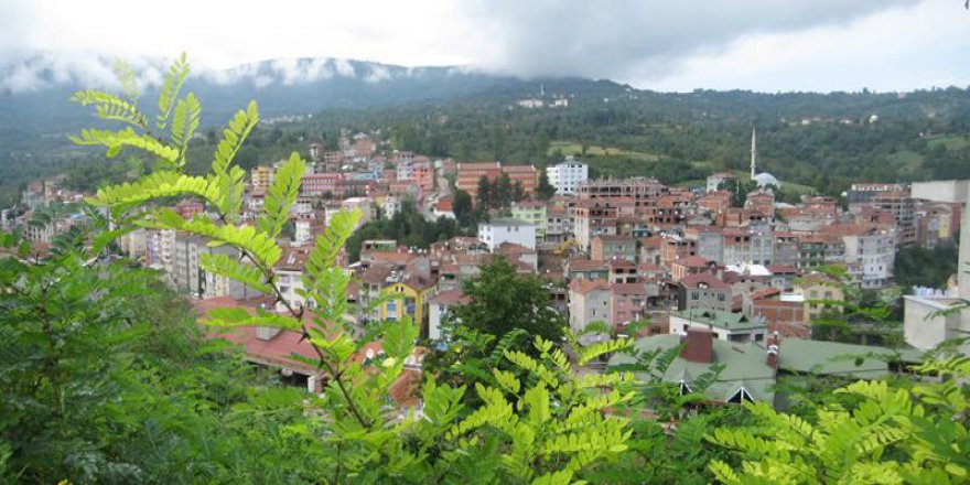 Kumru Samur Köyü Resimleri