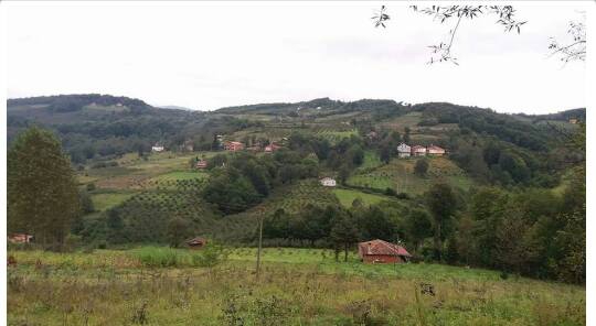 Kumru Şenyurt Köyü Resimleri 1