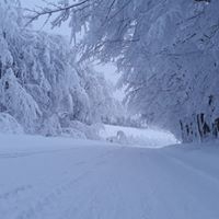 Kumru Şenyurt Köyü Resimleri 8