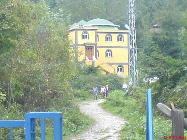 Kumru Tekkeköy Köyü Resimleri 1