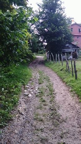 Kumru Yalnızdam Köyü Resimleri 2