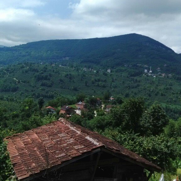 Kumru Yalnızdam Köyü Resimleri 3