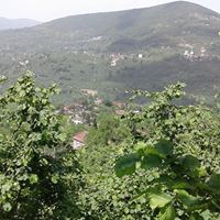 Kumru Yalnızdam Köyü Resimleri 5