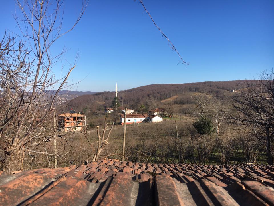 Kumru Yemişken Köyü Resimleri 1