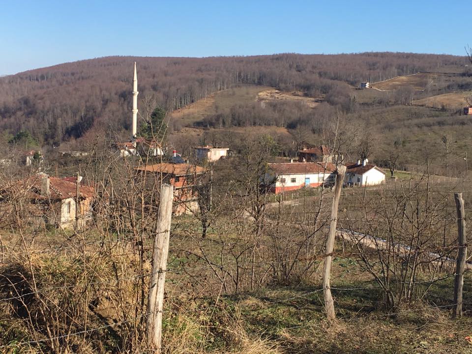 Kumru Yemişken Köyü Resimleri 2