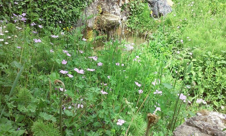 Kumru Yeniakçaalan Köyü Resimleri 1