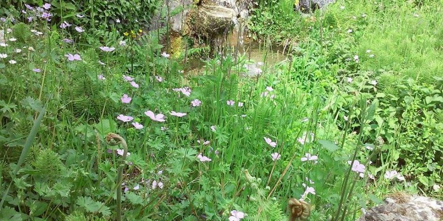 Kumru Yeniakçaalan Köyü Resimleri