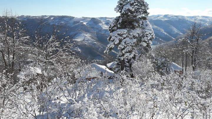 Kumru Yenidivan Köyü Resimleri 1