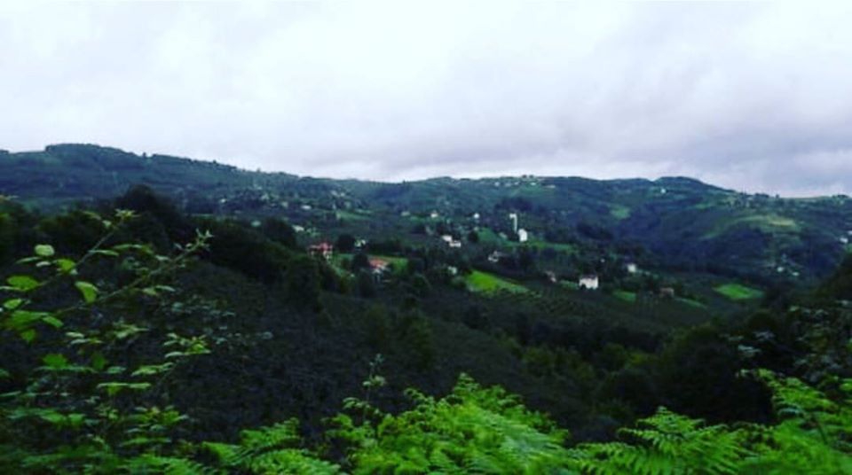 Kumru Yenidivan Köyü Resimleri 3