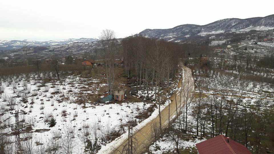 Kumru Yeniergen Köyü Resimleri 1