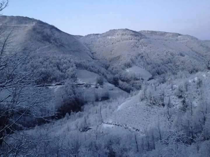Kumru Yukarıdamlalı Köyü Resimleri 2