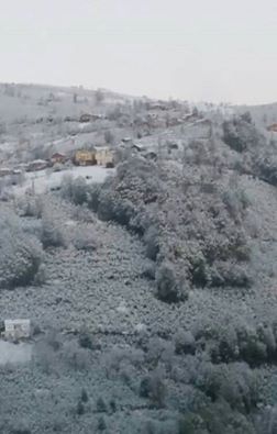 Kumru Yukarıdamlalı Köyü Resimleri 4