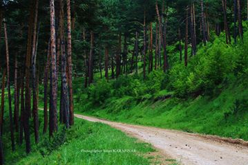 Mesudiye Alan Köyü Resimleri 2