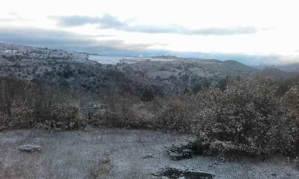 Mesudiye Arıcılar Köyü Resimleri 4