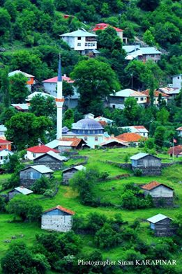 Mesudiye Arıcılar Köyü Resimleri 5