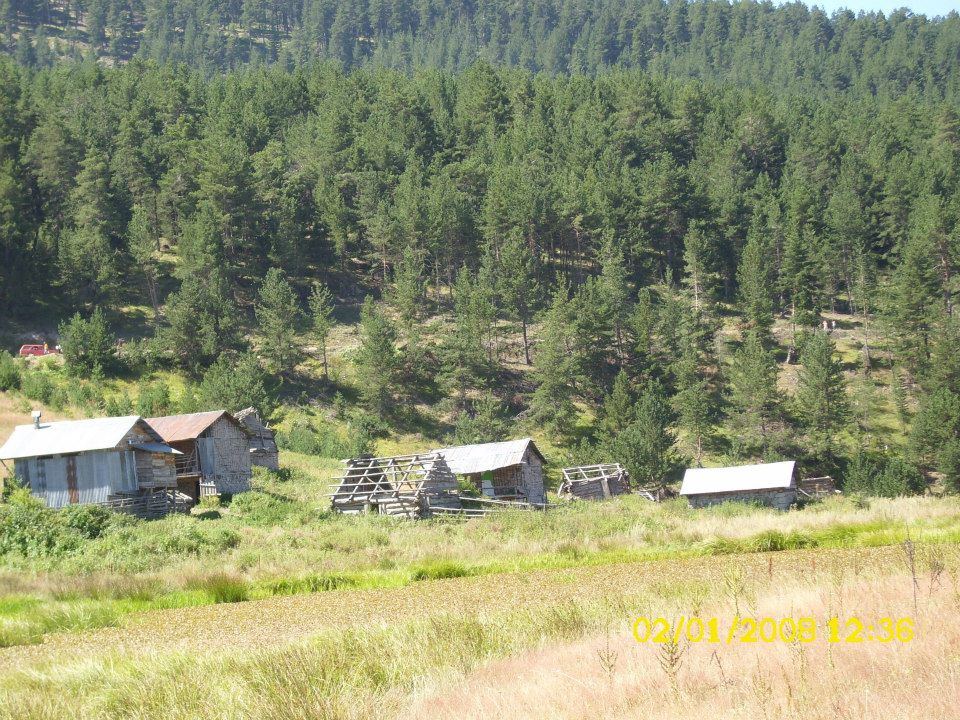 Mesudiye Arıkmusa Köyü Resimleri 2