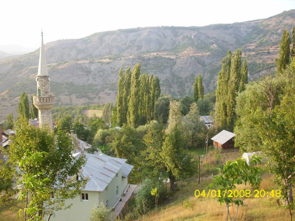 Mesudiye Arıkmusa Köyü Resimleri 4