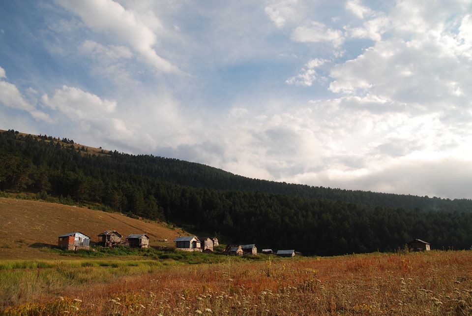 Mesudiye Arıkmusa Köyü Resimleri 6