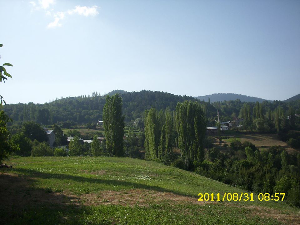 Mesudiye Arıkmusa Köyü Resimleri 7