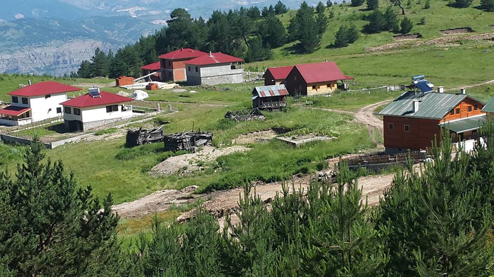 Mesudiye Arıkmusa Köyü Resimleri 8