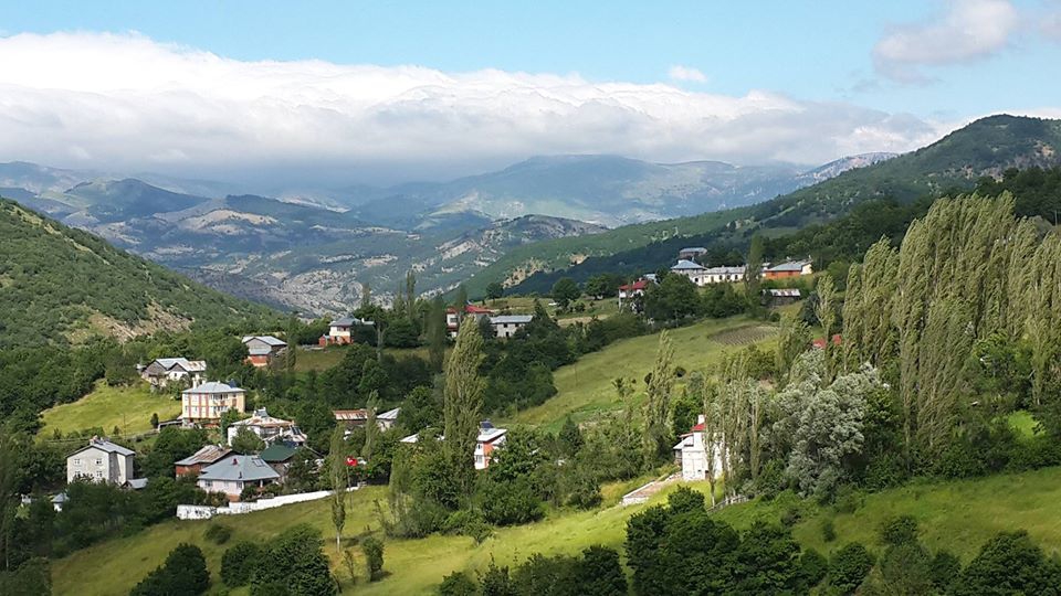 Mesudiye Arıkmusa Köyü Resimleri 9