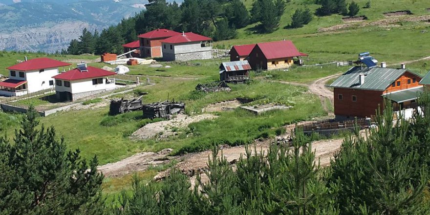 Mesudiye Arıkmusa Köyü Resimleri