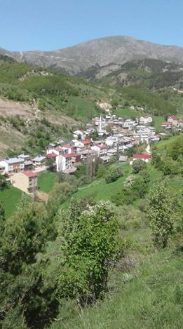 Mesudiye Armutkolu Köyü Resimleri 4