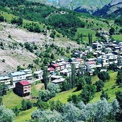 Mesudiye Armutkolu Köyü Resimleri 5