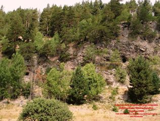 Mesudiye Arpaalan Köyü Resimleri 3