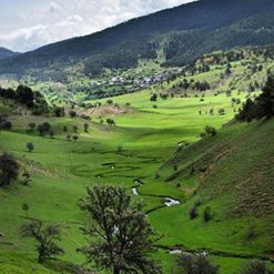 Mesudiye Arpaalan Köyü Resimleri 4