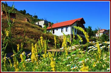 Mesudiye Aşağıgökçe Köyü Resimleri 1