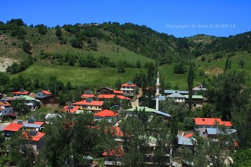 Mesudiye Aşağıgökçe Köyü Resimleri 7