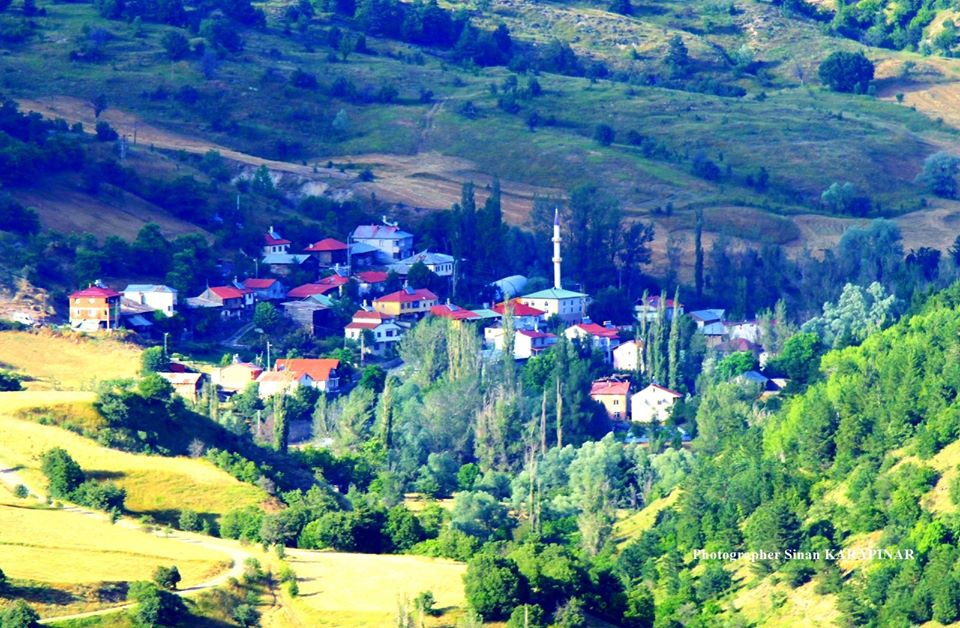 Mesudiye Aşağıgökçe Köyü Resimleri 8