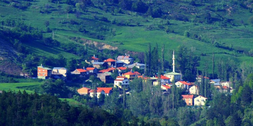 Mesudiye Aşağıgökçe Köyü Resimleri
