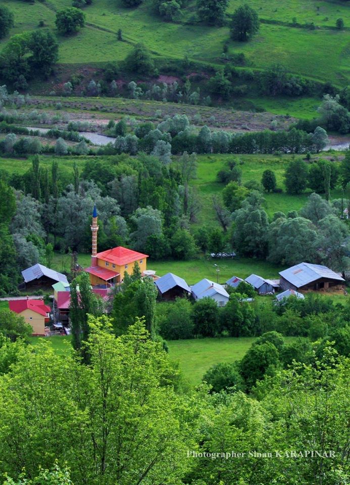 Mesudiye Bahçe Köyü Resimleri 2