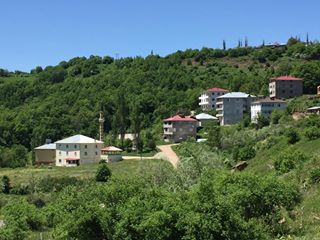 Mesudiye Bahçe Köyü Resimleri 3