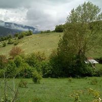 Mesudiye Bayırköy Köyü Resimleri 8