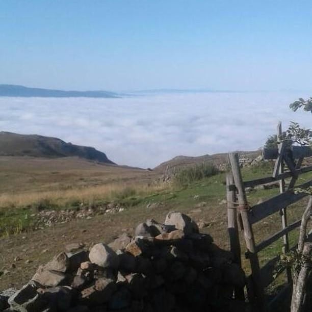 Mesudiye Bayraklı Köyü Resimleri 10