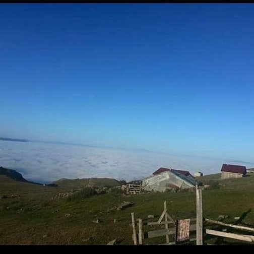 Mesudiye Bayraklı Köyü Resimleri 12