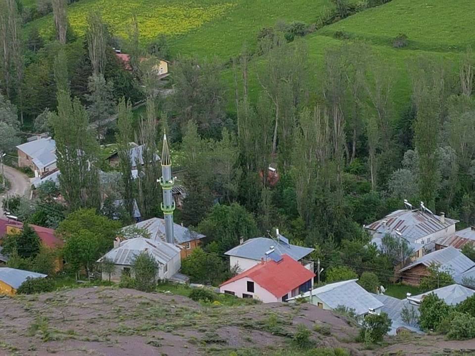 Mesudiye Bayraklı Köyü Resimleri 2